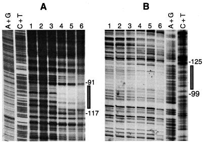 FIG. 6