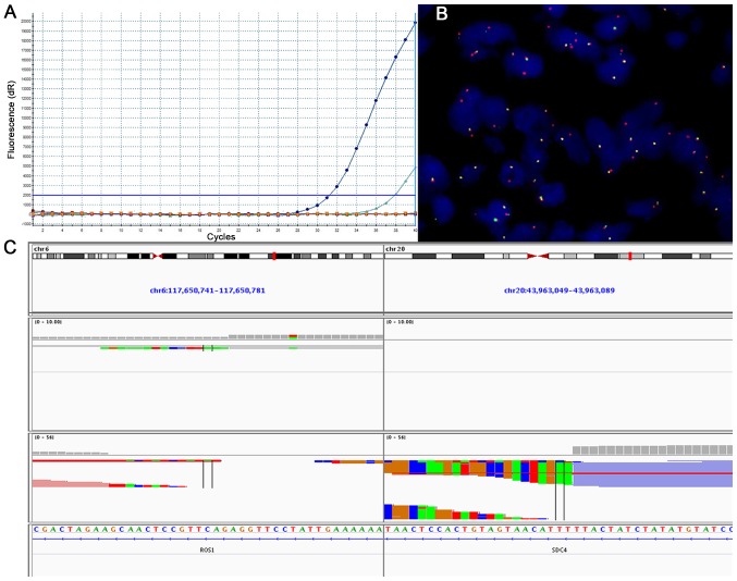 Figure 3.