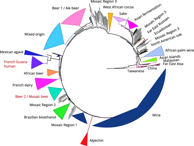 Fig. 2