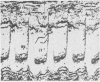 110
