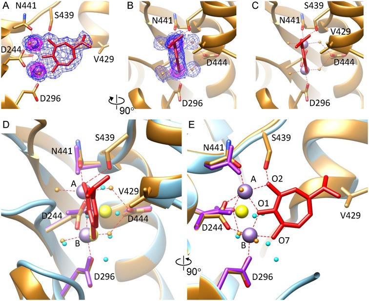 Figure 4.