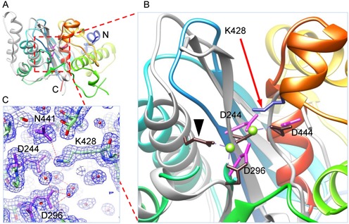 Figure 1.