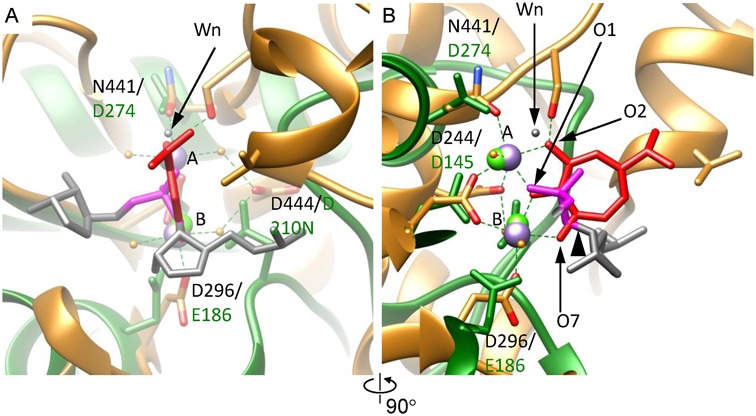 Figure 5.