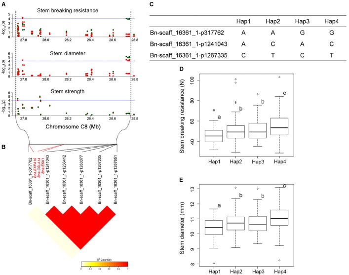 FIGURE 4