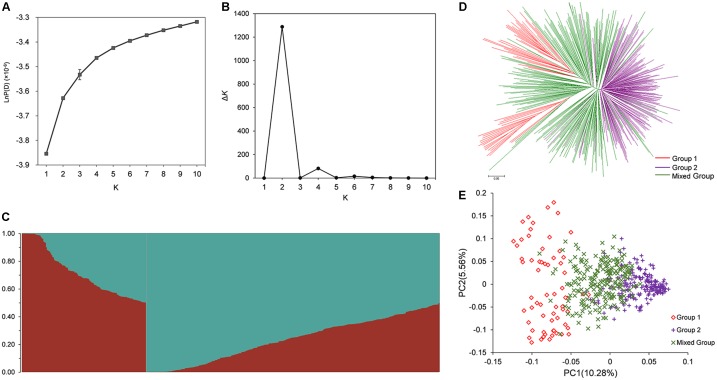 FIGURE 2