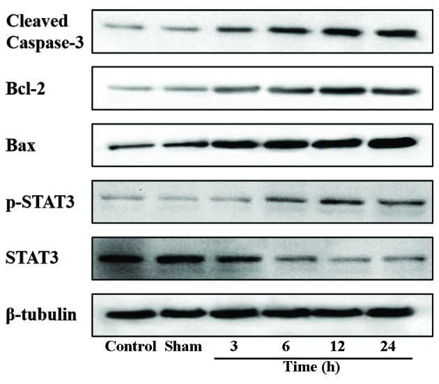 Figure 3.