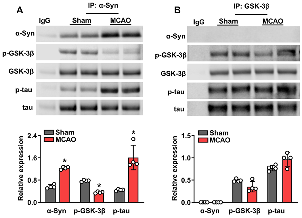 Fig. 2: