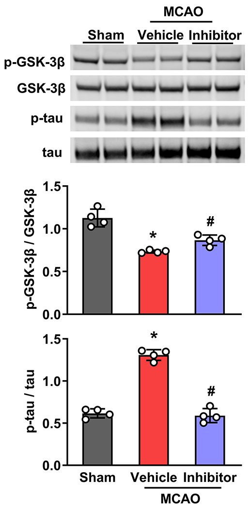 Fig. 3: