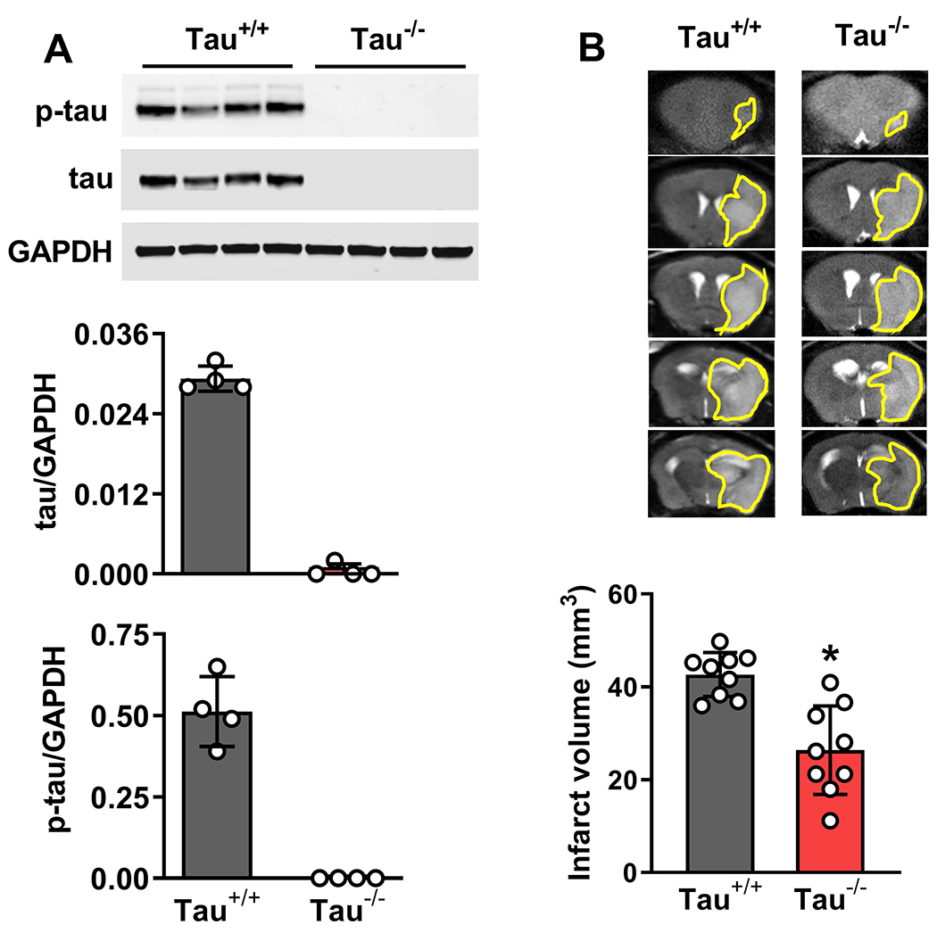 Fig. 4: