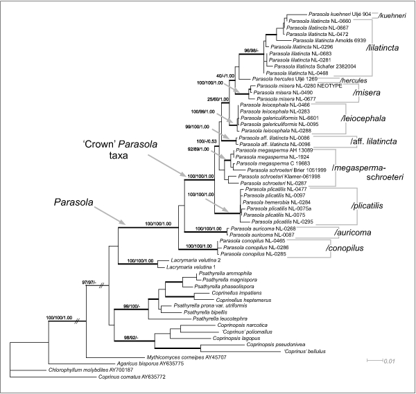 Fig. 2