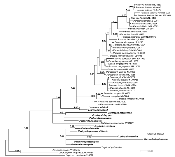 Fig. 3