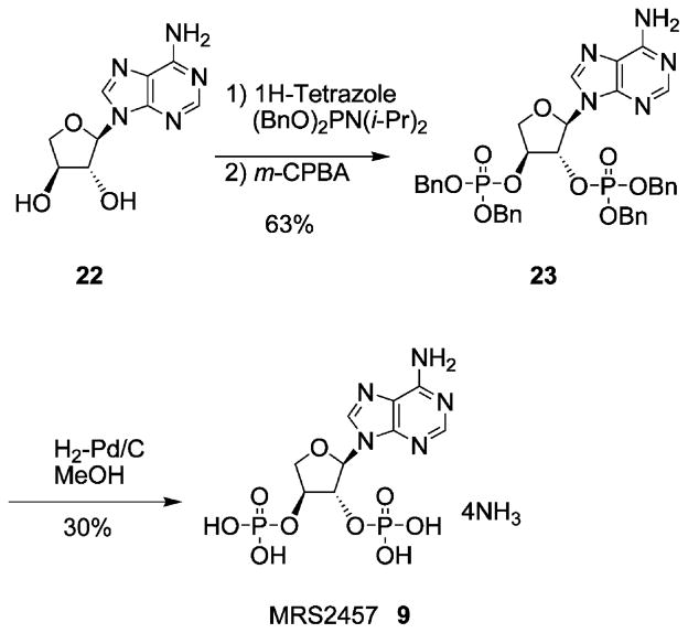 Scheme 2