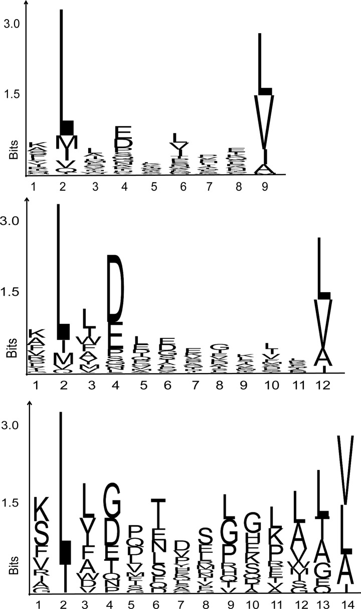 Fig. 5.