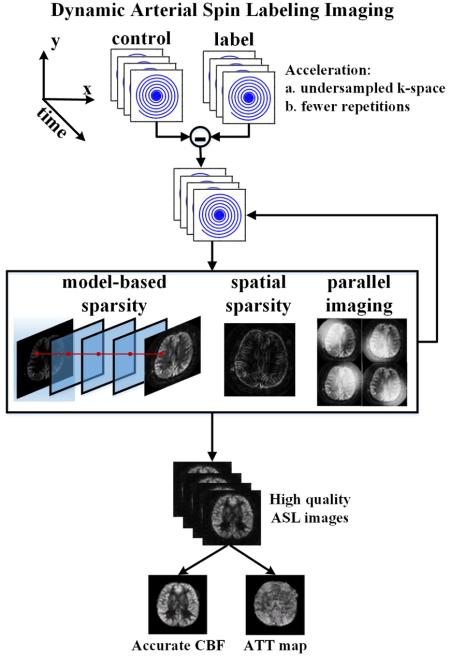 graphic file with name nihms-714192-f0001.jpg