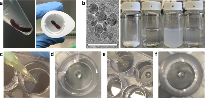 Figure 2 |