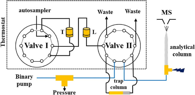 FIGURE 3