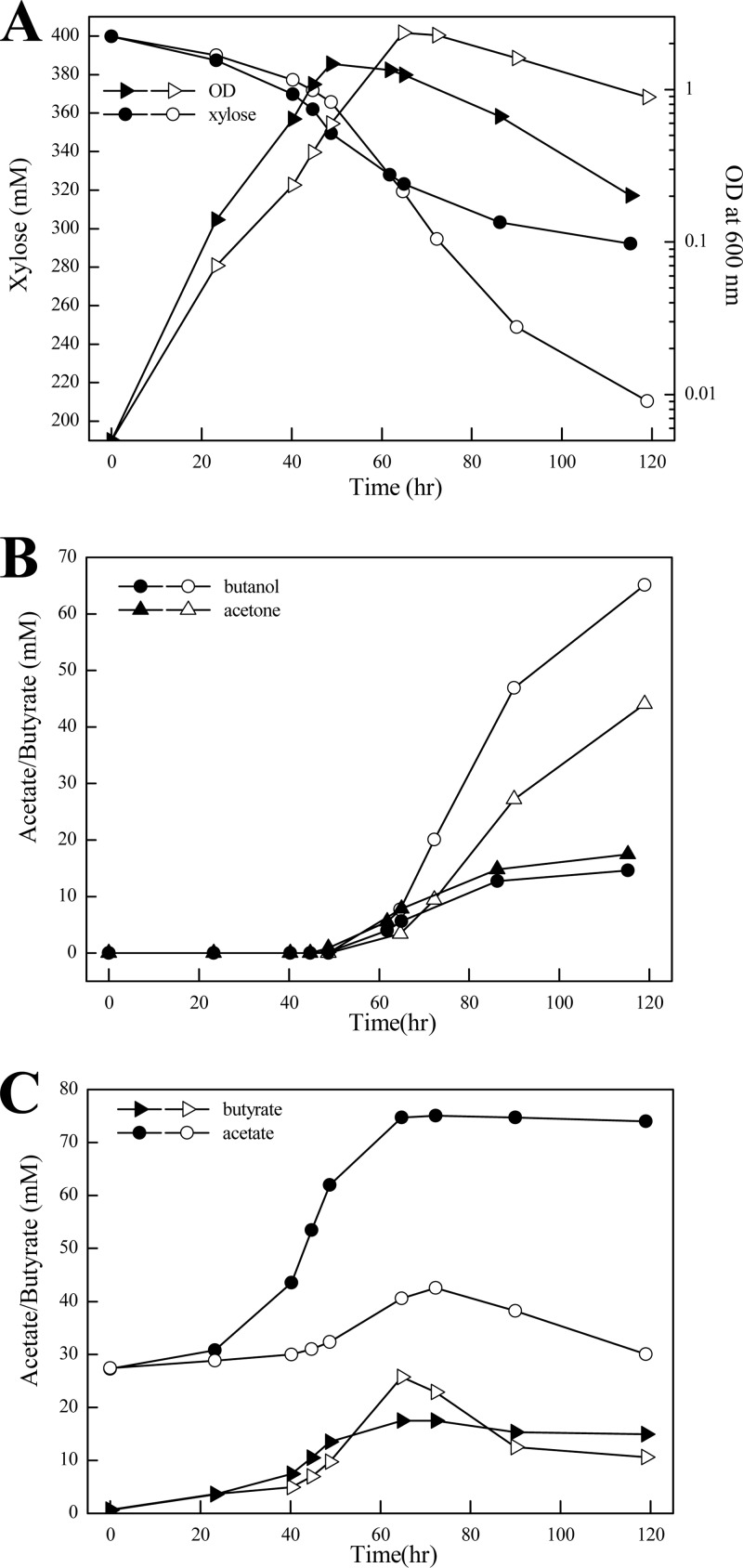 Fig 5