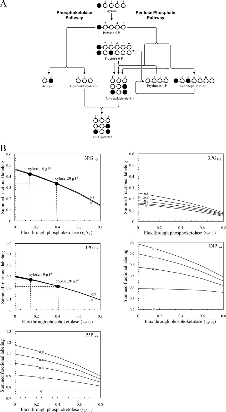 Fig 3