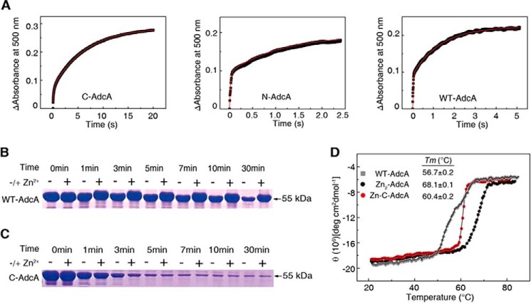 Figure 4.