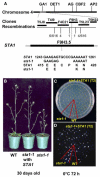 Figure 6.