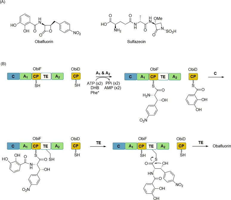 Figure 12.