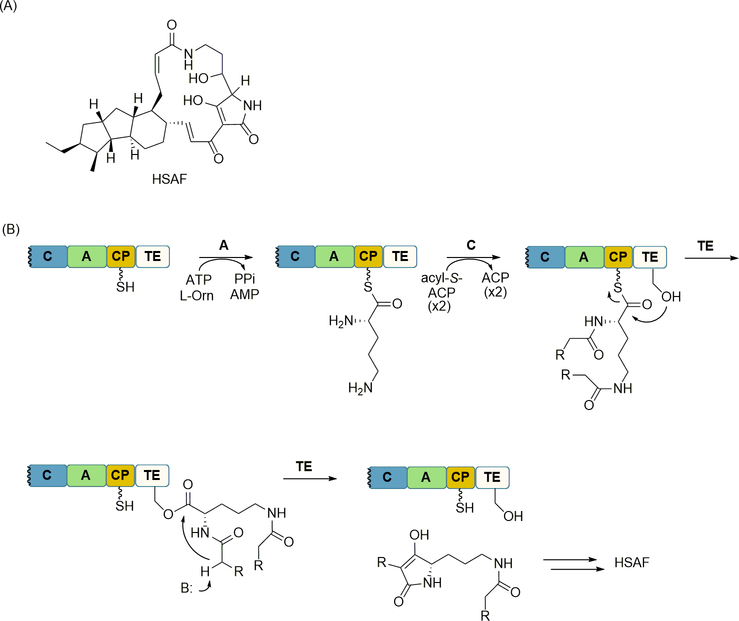 Figure 11.