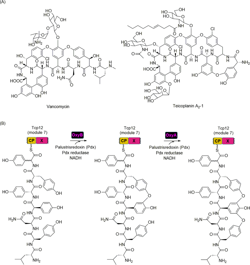 Figure 10.