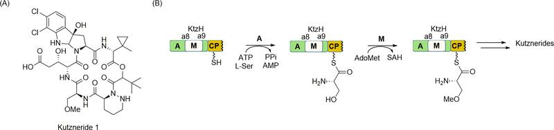 Figure 7.