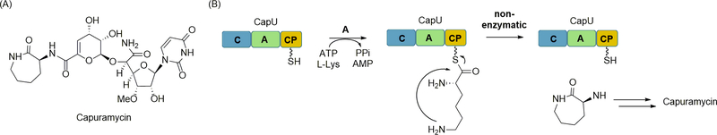 Figure 13.