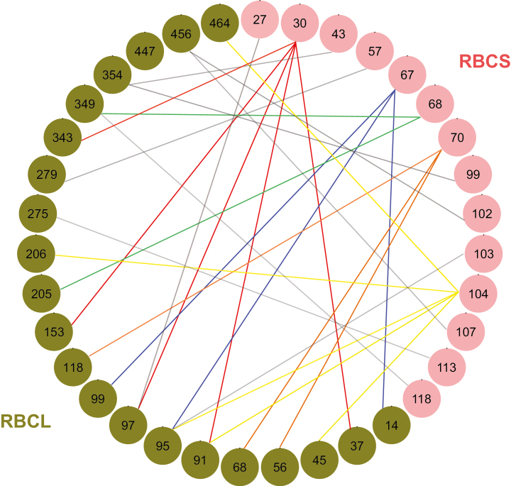 Fig. 4.