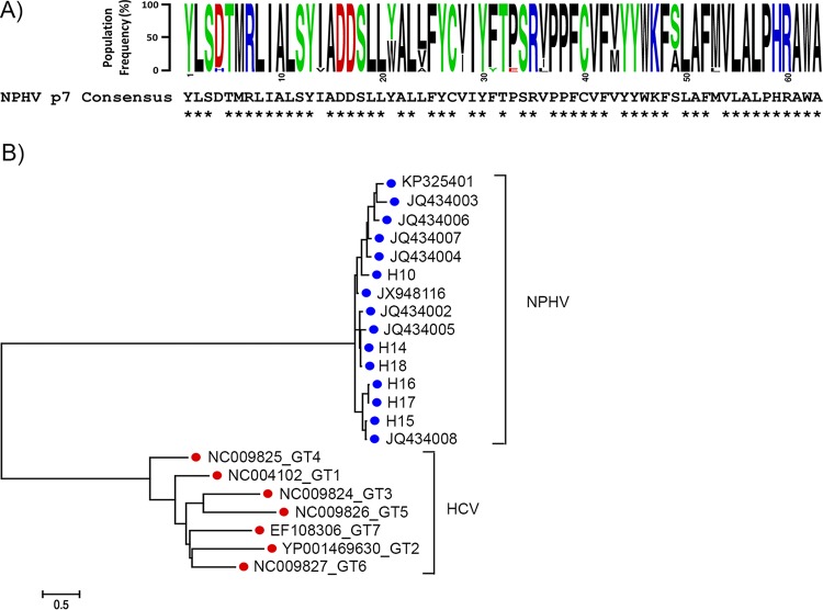 FIG 1