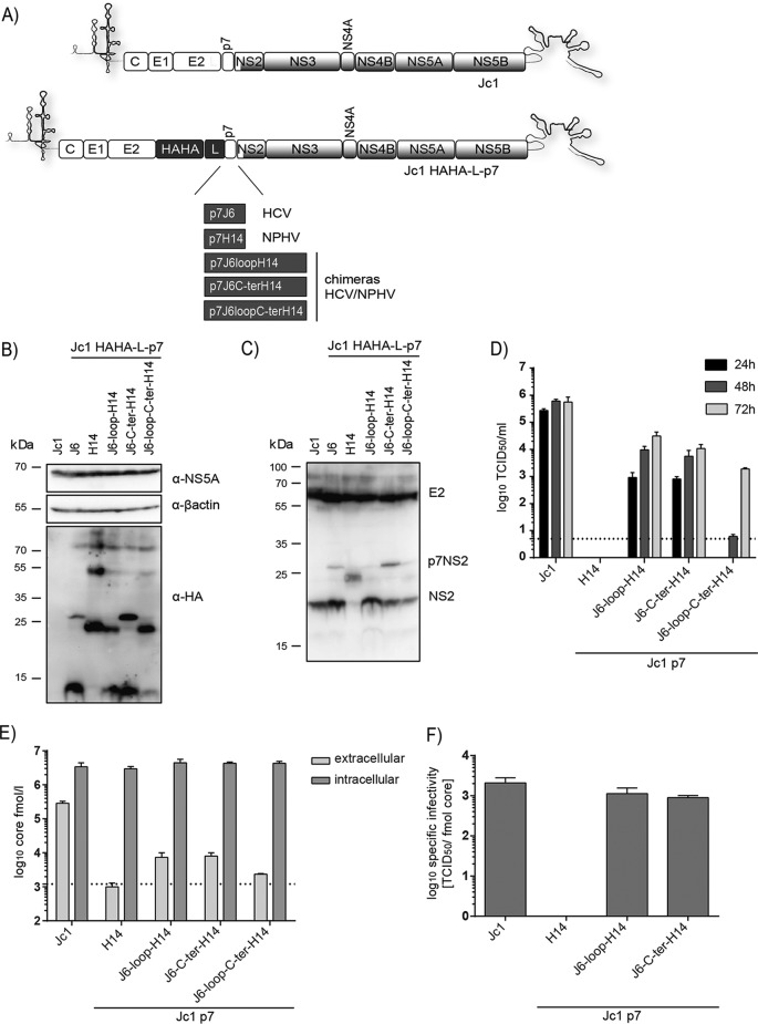 FIG 6