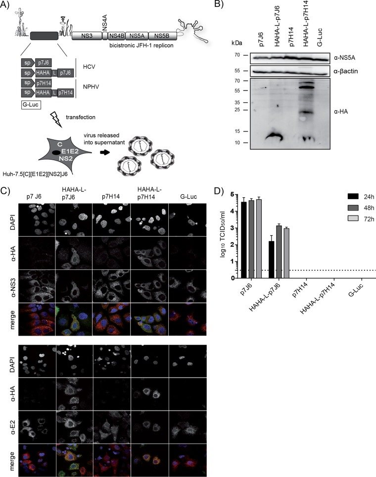 FIG 4