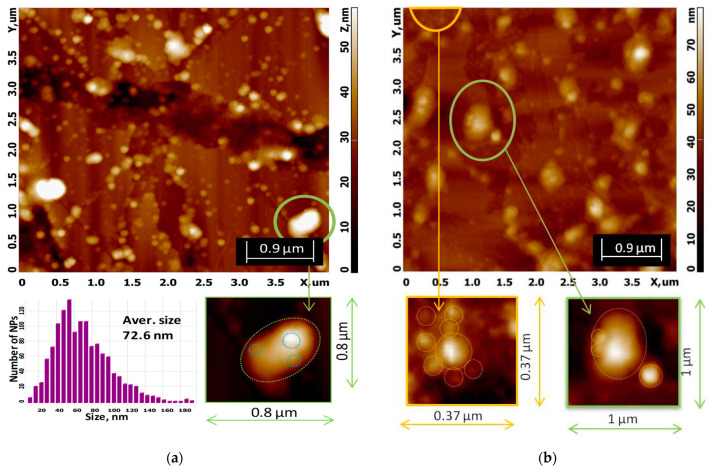 Figure 6