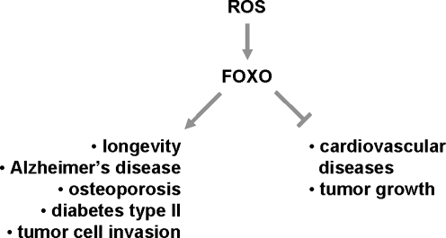 FIG. 8.