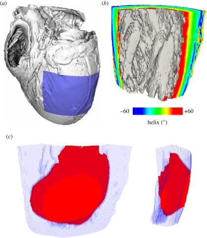 Figure 9.