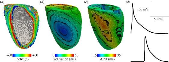 Figure 6.