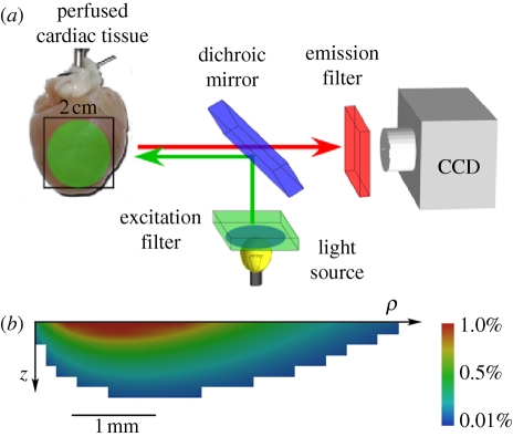 Figure 4.