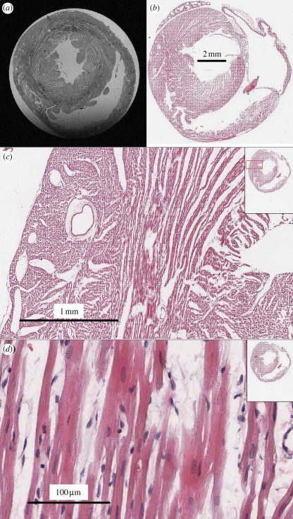 Figure 2.