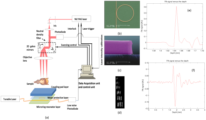 Fig. 1