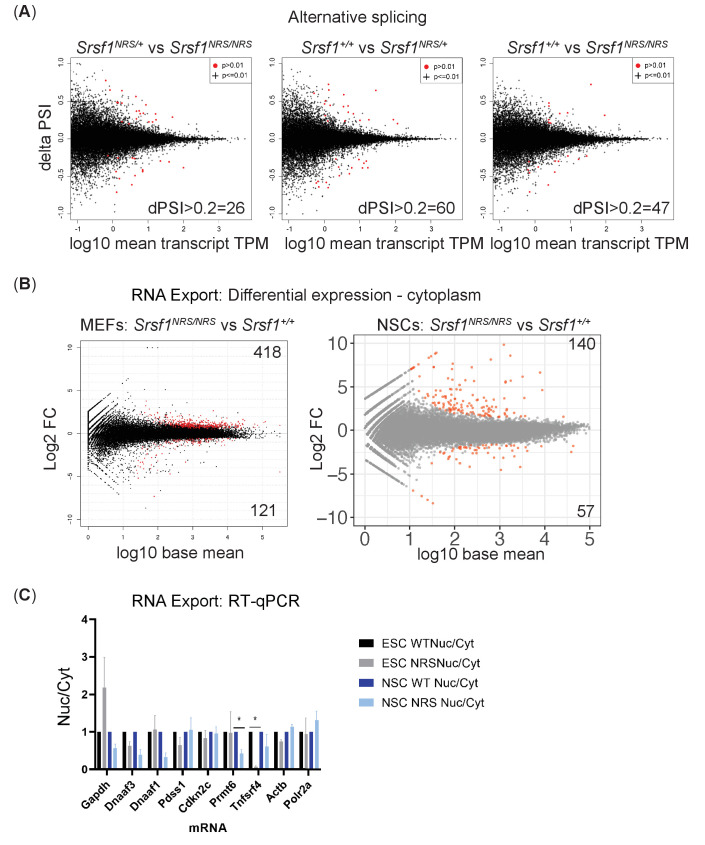 Figure 5—figure supplement 1.