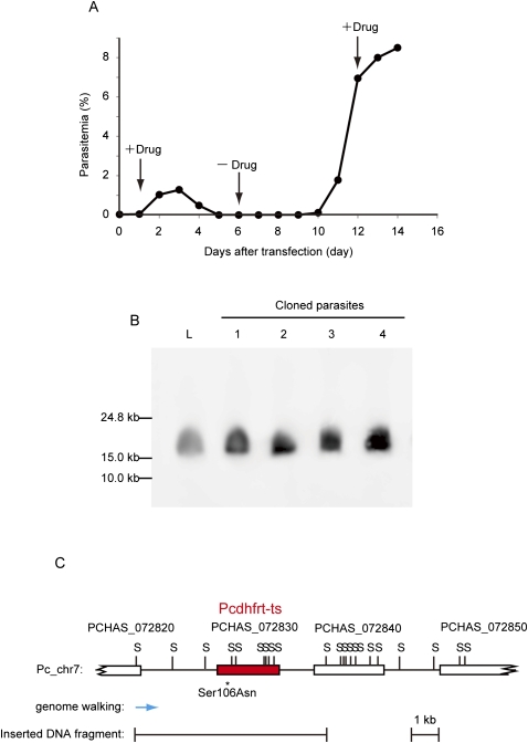 Figure 5.