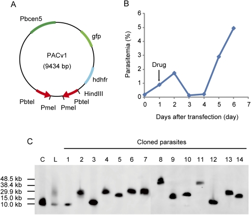 Figure 3.