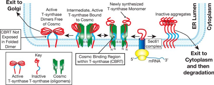 FIGURE 7.