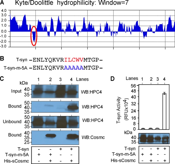 FIGURE 4.