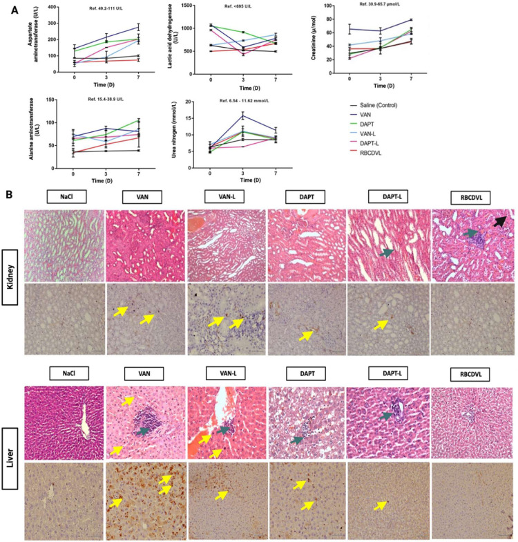 Fig 10