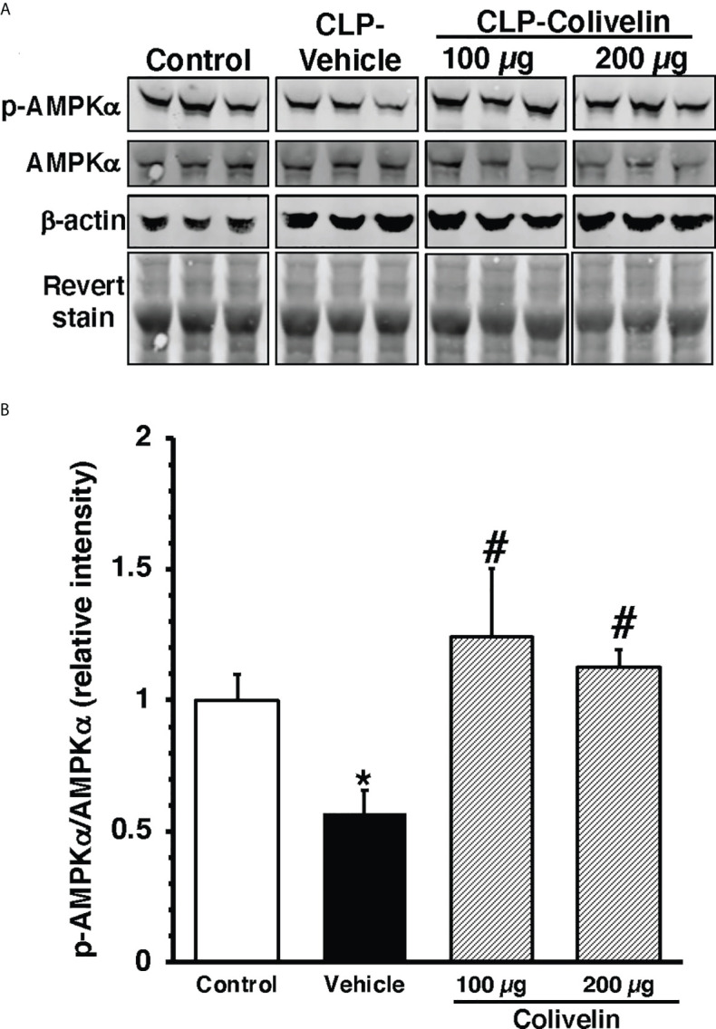 Figure 9