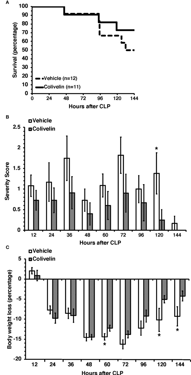 Figure 10