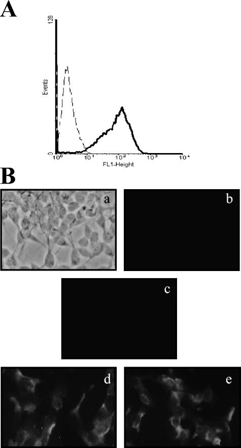 FIG. 5.