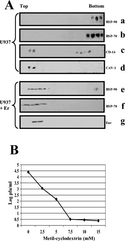 FIG. 8.